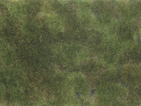 Noch 07251, Bodendecker - Foliage, olivgrün, 12 x 18 cm, / -