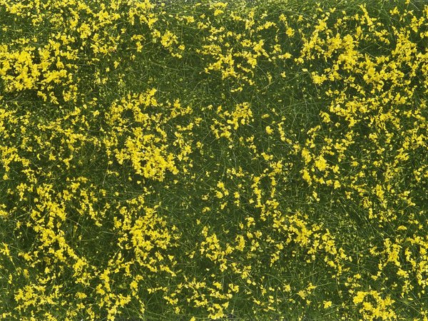 Noch 07255, Bodendecker - Foliage, Wiese gelb, 12 x 18 cm, / -